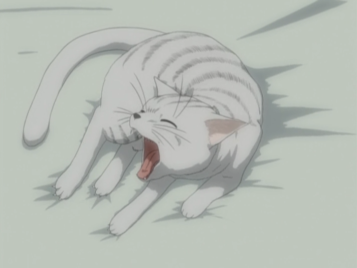 Kokoro Toshokan (Fansubber)